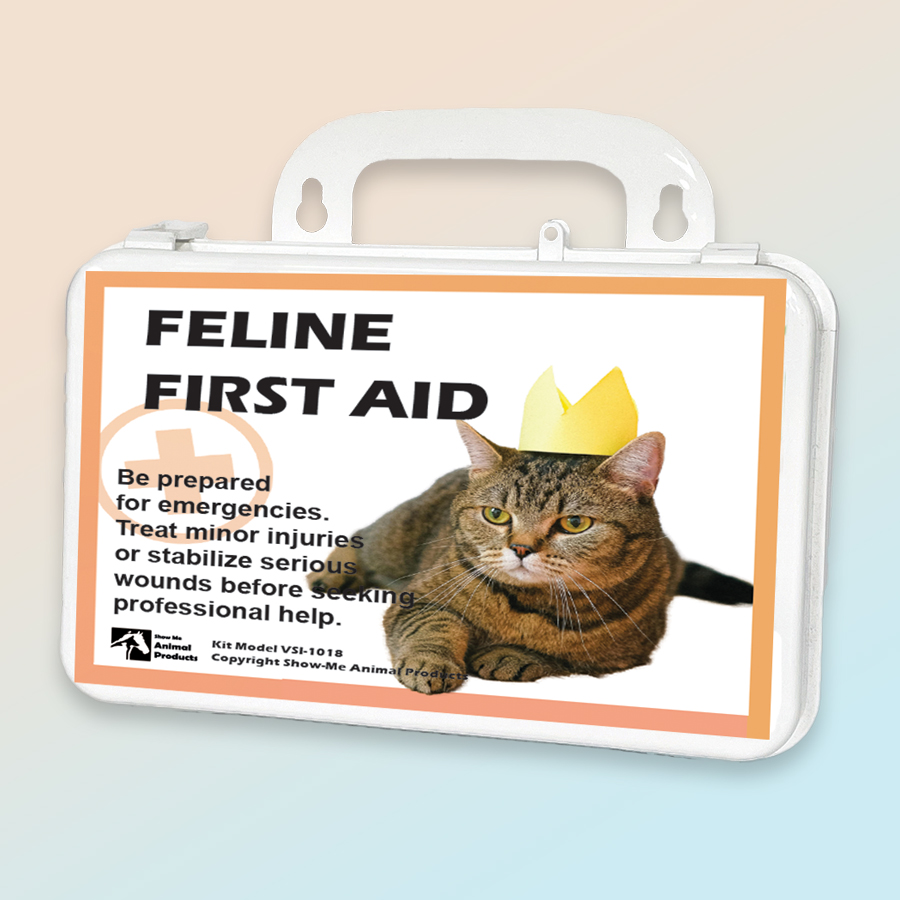 Customized feline first aid kit image with cat wearing paper crown