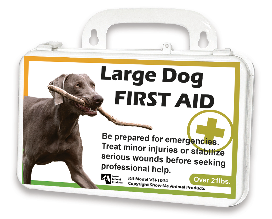 Large Dog First Aid