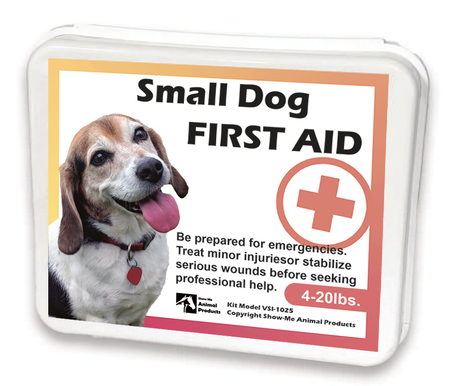 Small Dog First Aid