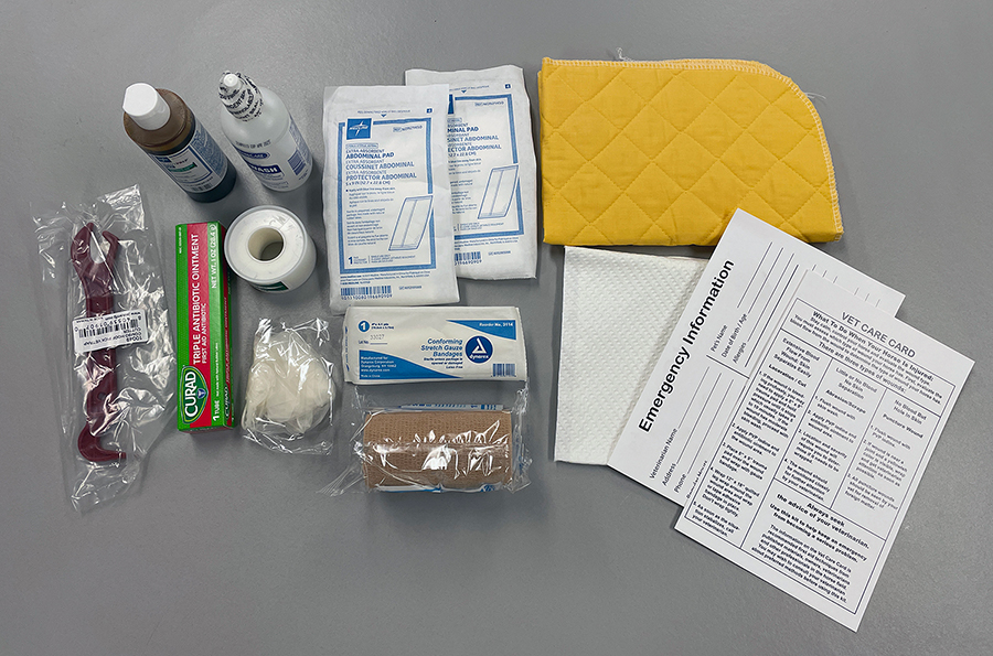 Equine first aid kit contents