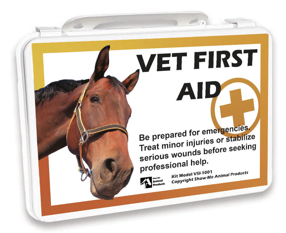 Horse vet first aid kit