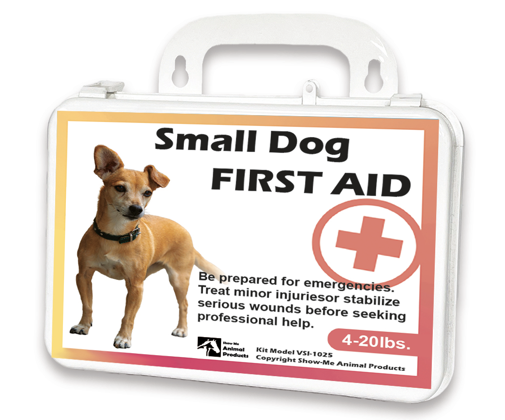 First-aid for small dogs