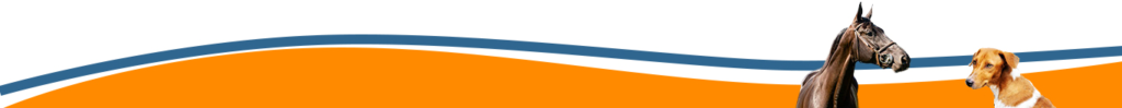 Customized First Aid Kits Page Banner